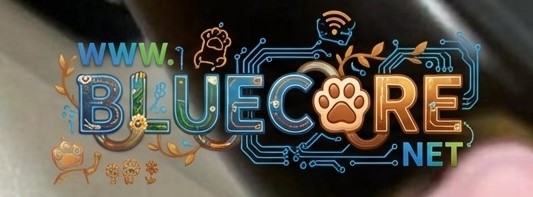 WWW.BLUECORE.NET